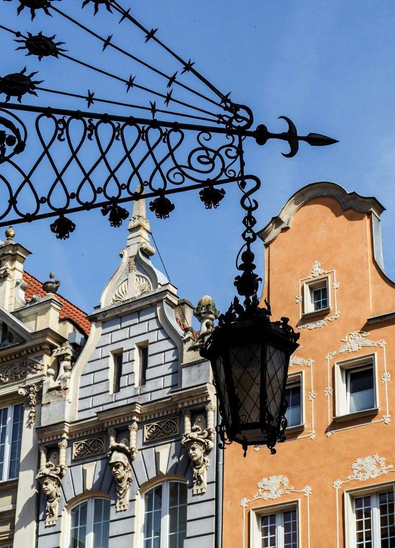 サービス開始とフォローアップ